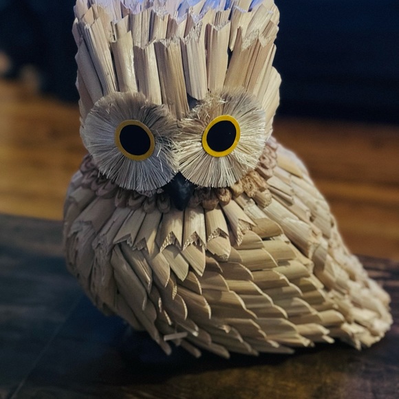 Adorable Owl Decor - Picture 11 of 12